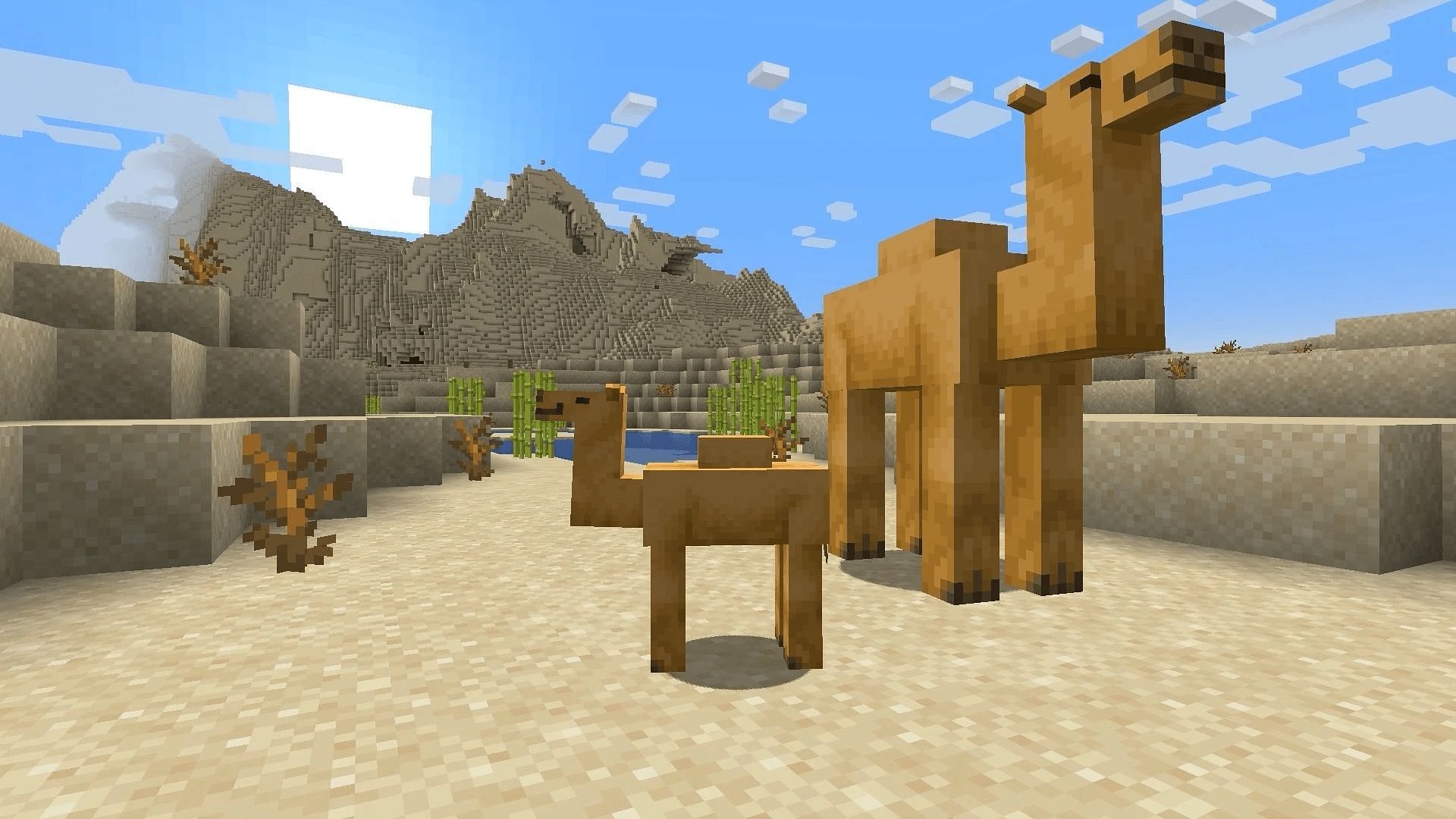 Camels are the latest animal mobs arriving in Minecraft 1.20 (Image via Mojang)