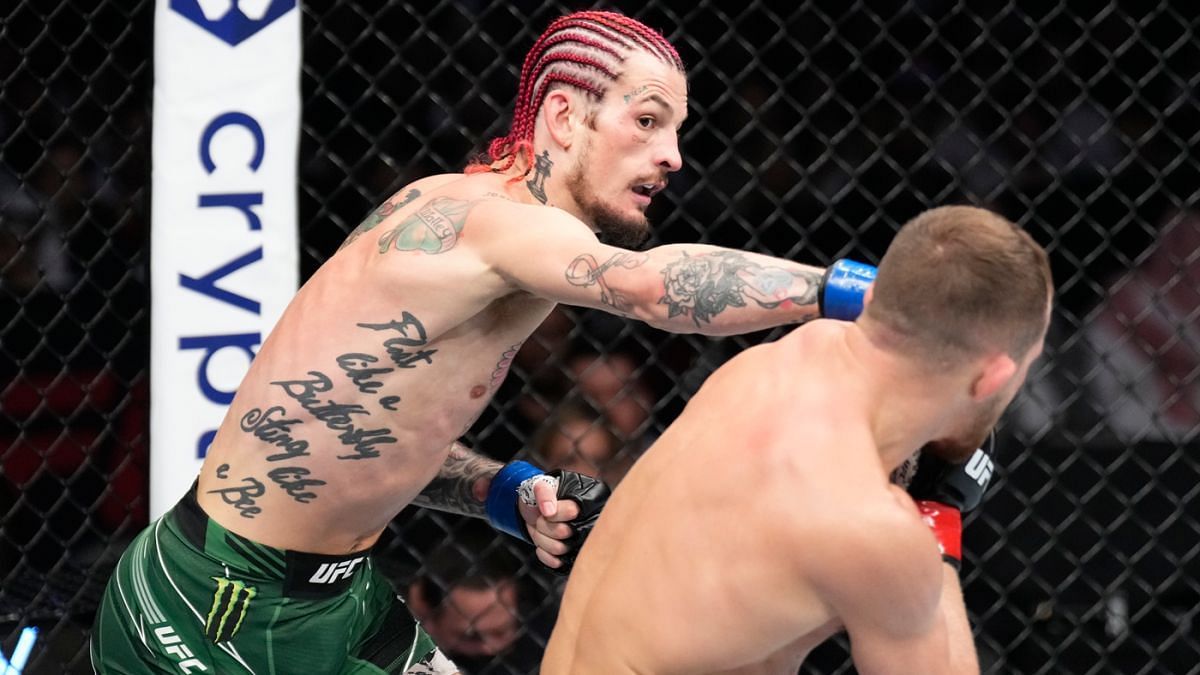 Sean O'Malley's win over Petr Yan may well have netted him a bantamweight title shot