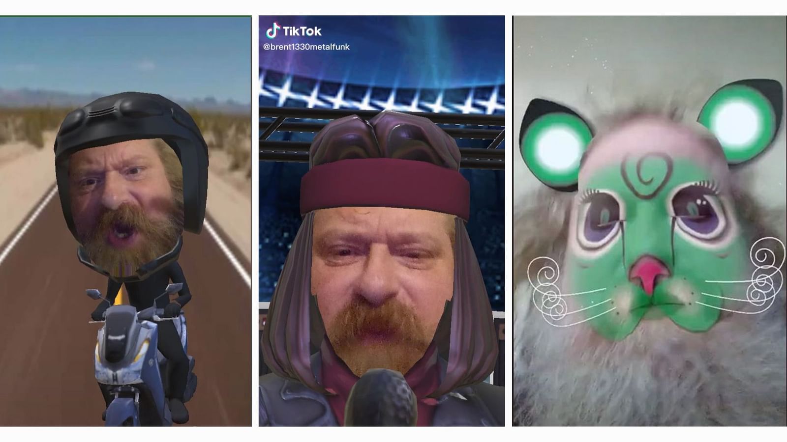 Who is Brent Peterson on TikTok? Netizen goes viral for presidential