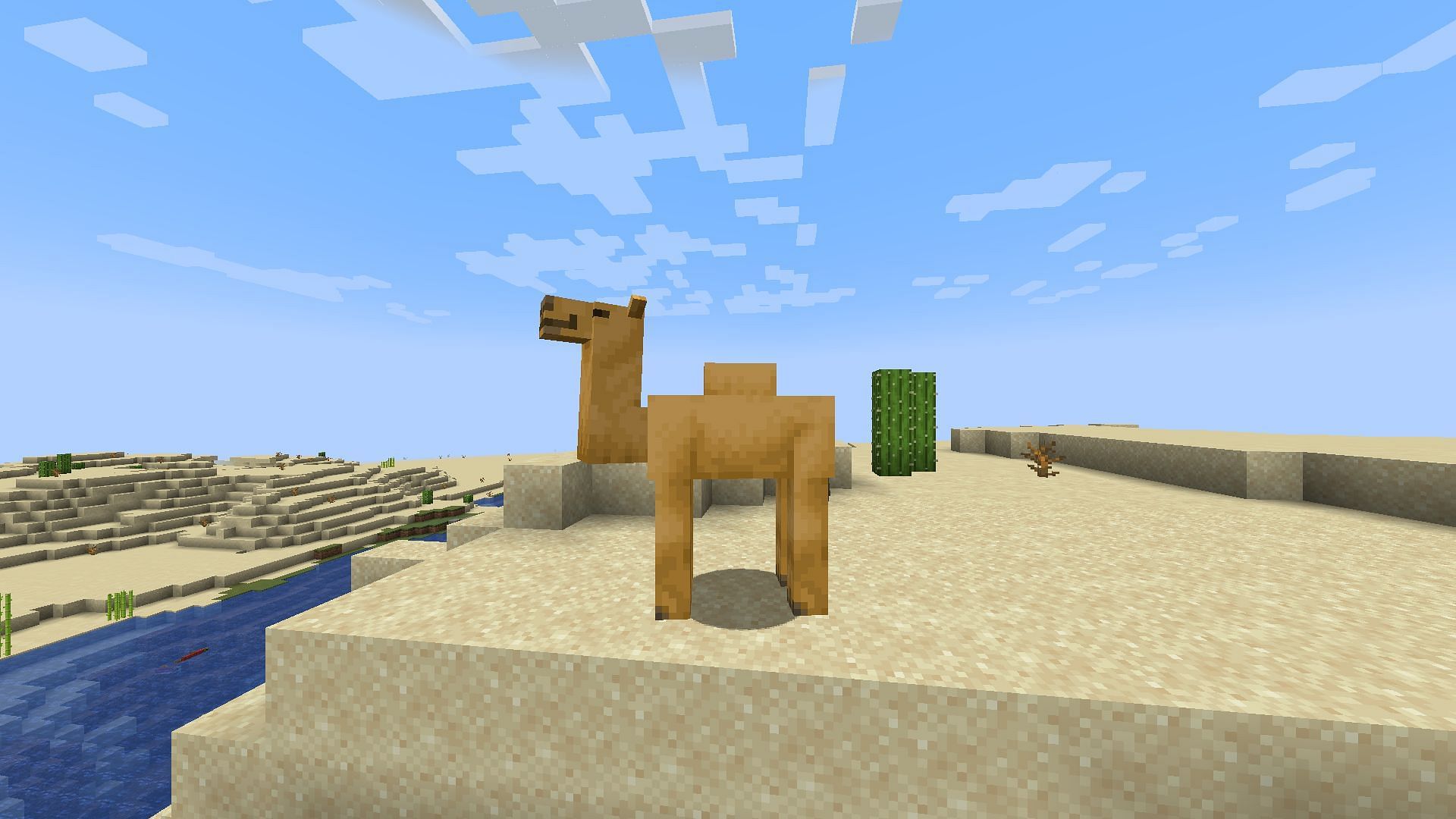 Camels are one of the most interesting features for Minecraft 1.20 update (Image via Mojang)