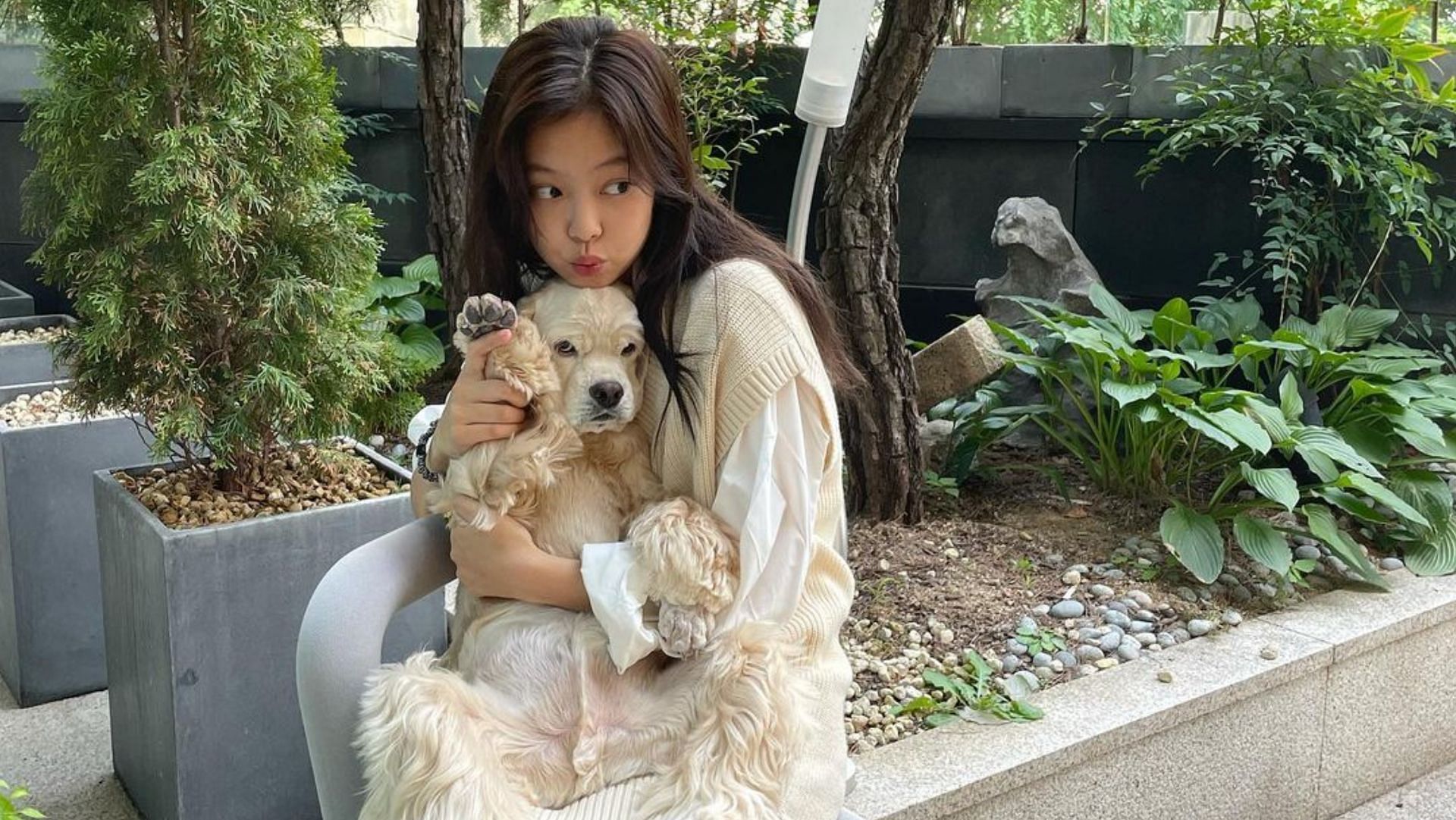 BLACKPINK's Jennie gets showered with praises for her adorable ...