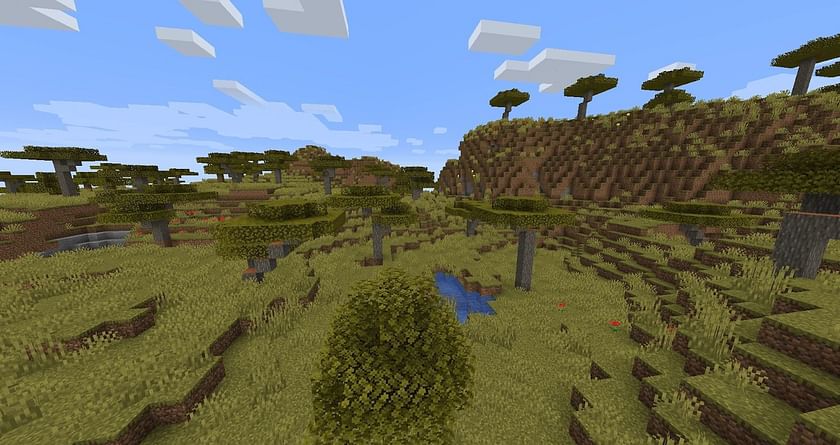 Savanna Plateau in Minecraft