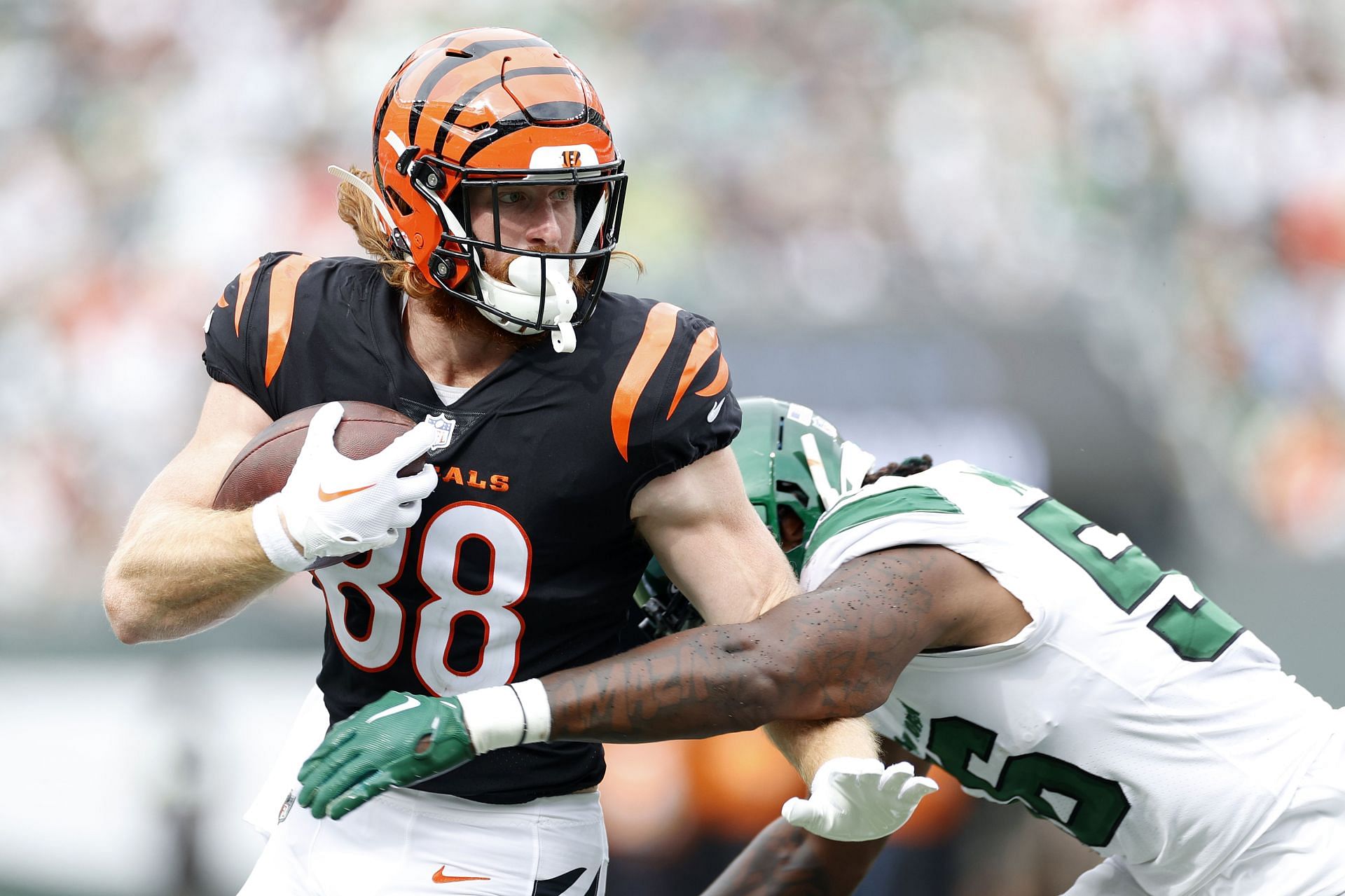 Updated Robert Tonyan, Hayden Hurst Fantasy Football Rankings: Tight End  Options With George Kittle Doubtful