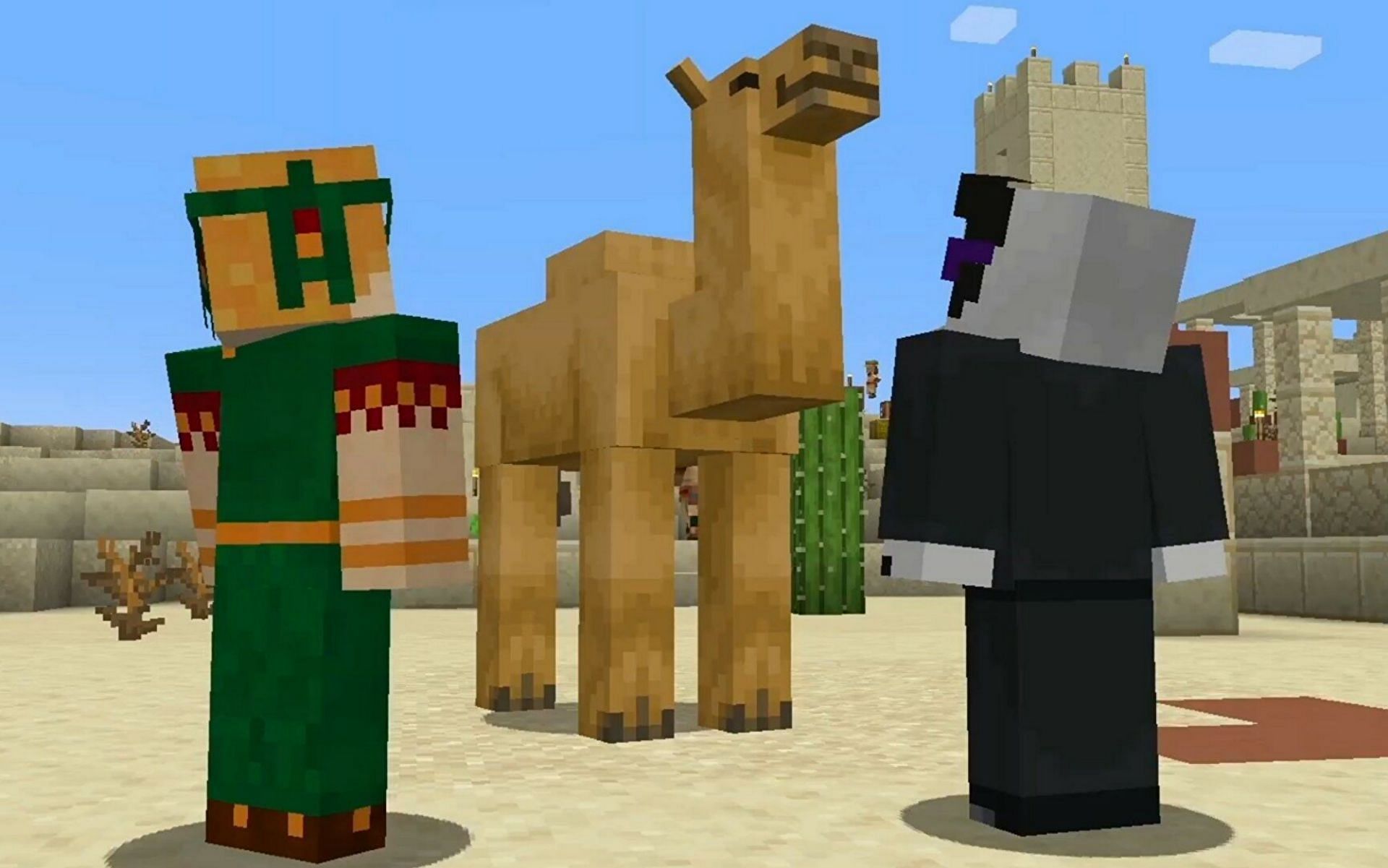 Players observing a camel (Image via Mojang)