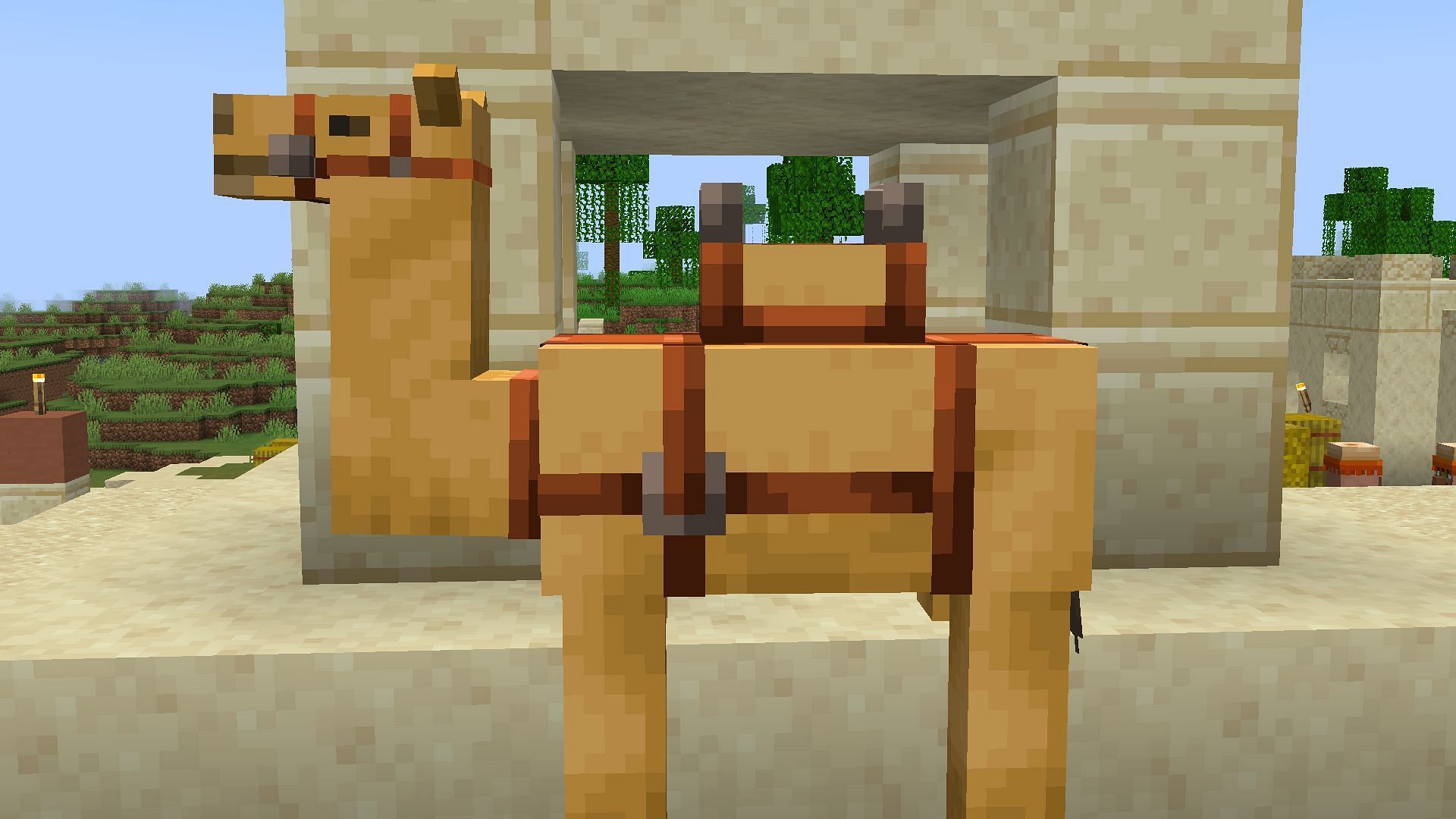 Camels will be fascinating to ride in Minecraft 1.20 due to new mechanics and behavior (Image via Mojang)