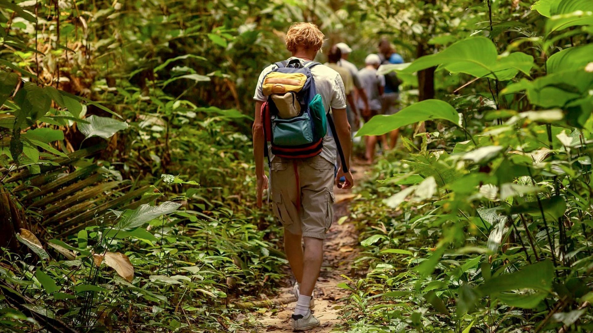 Imagine yourself walking through a rainforest to determine your personality (image via Getty Images)