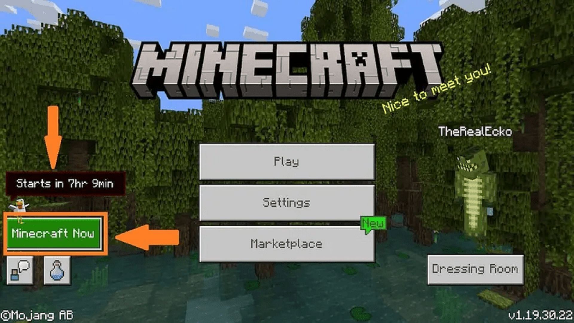 The Bedrock Server option, which will also be used for Live 2022 (Image via Mojang)