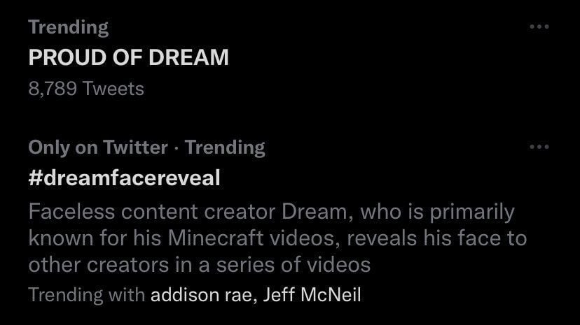 Minecraft Twitter Face
