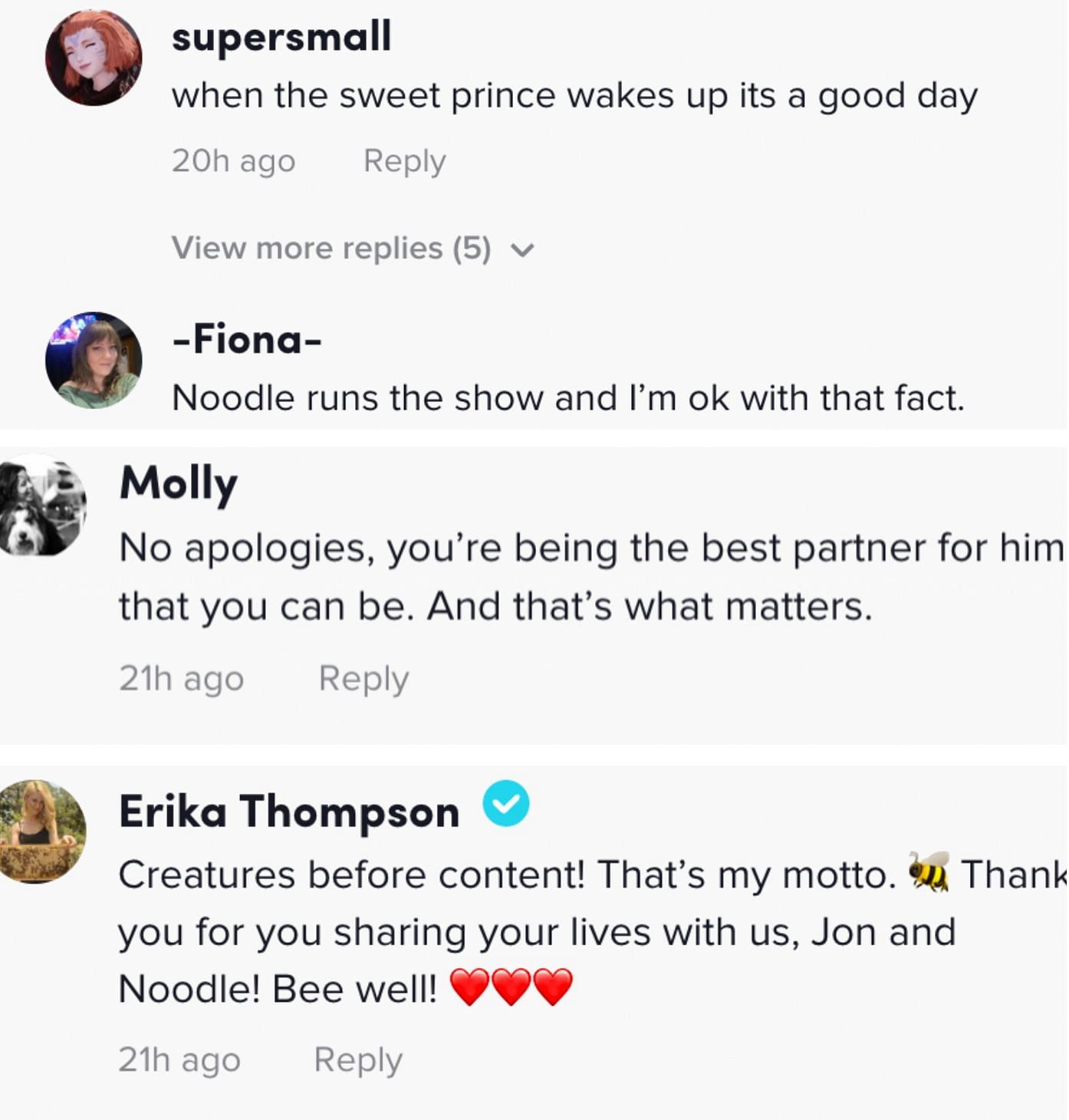 TikTokers shower their love on Noodle the Pug, and pray for his wellbeing. (Image via TikTok)