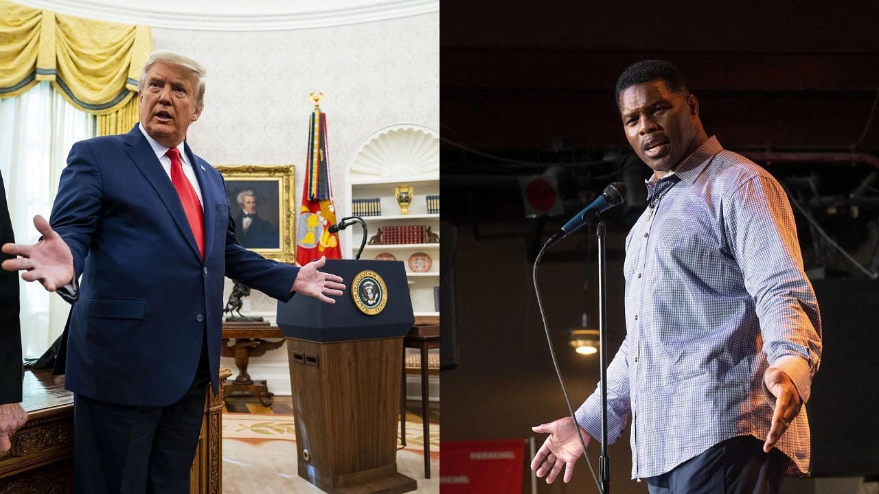 Donald Trump Defends Herschel Walker Amidst Bombshell Abortion ...