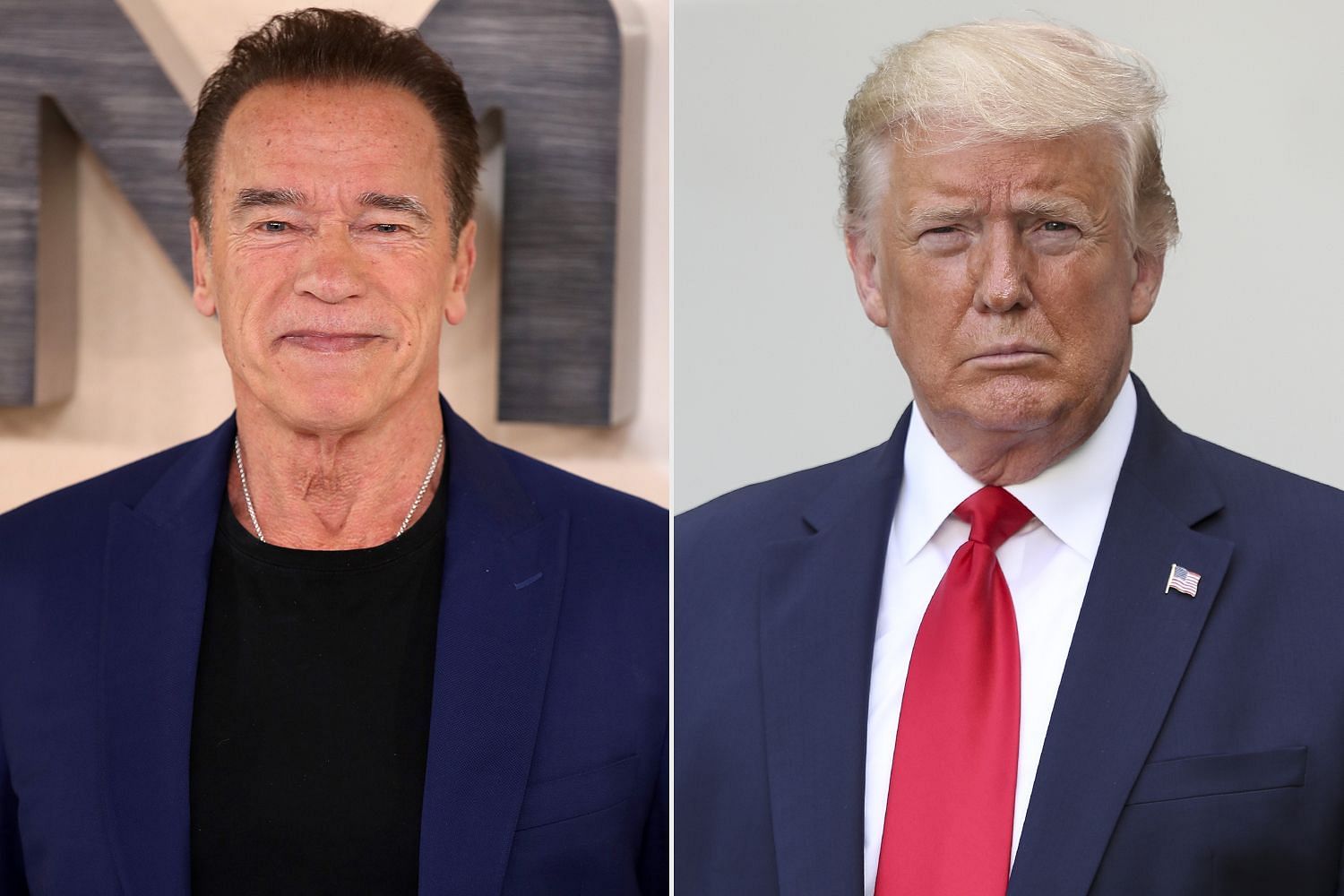 Arnold and Donald Trump (Image via Entertainment Weekly)