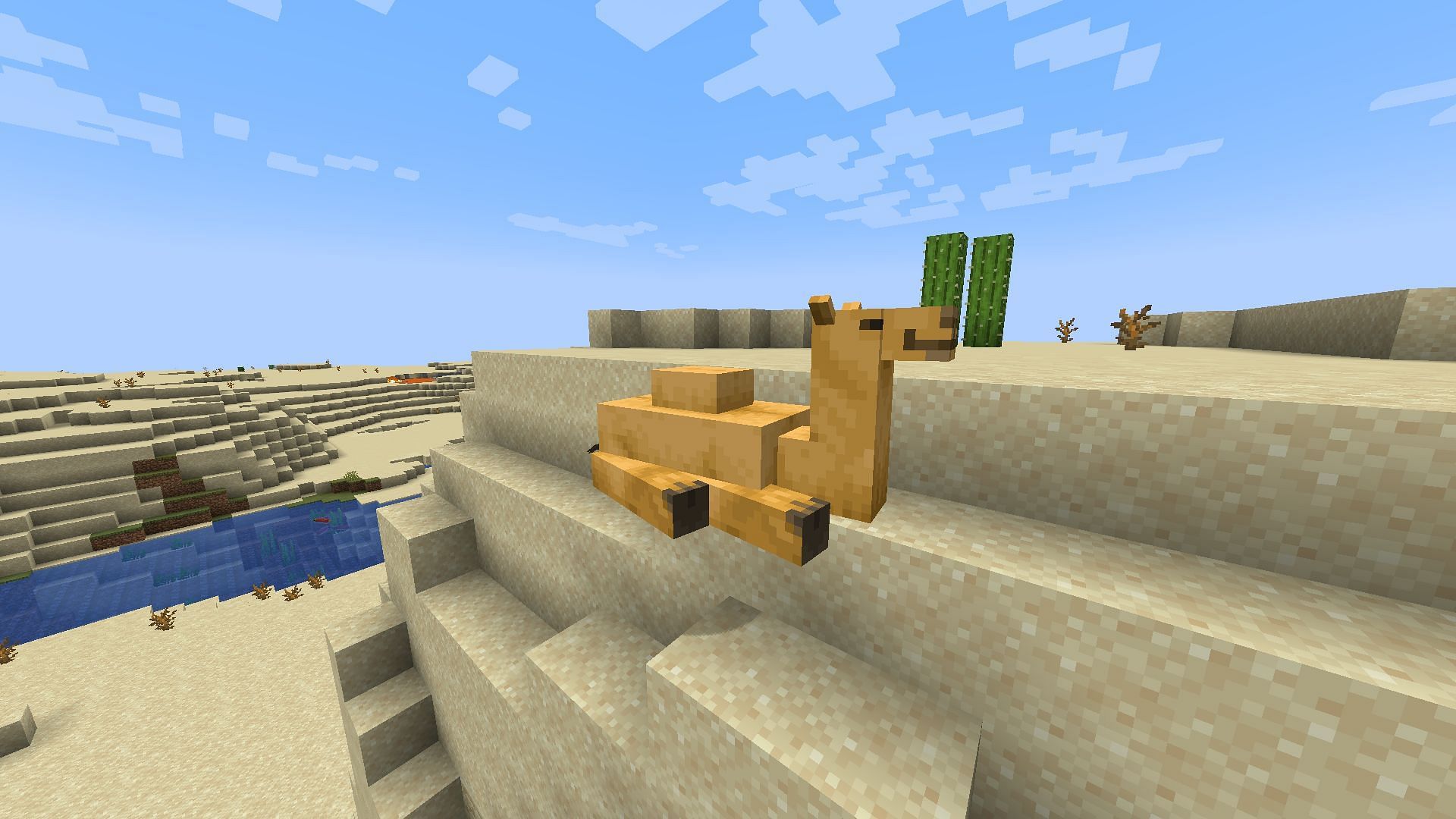 A camel sitting in the desert biome after spawning from a spawn egg (Image via Mojang)