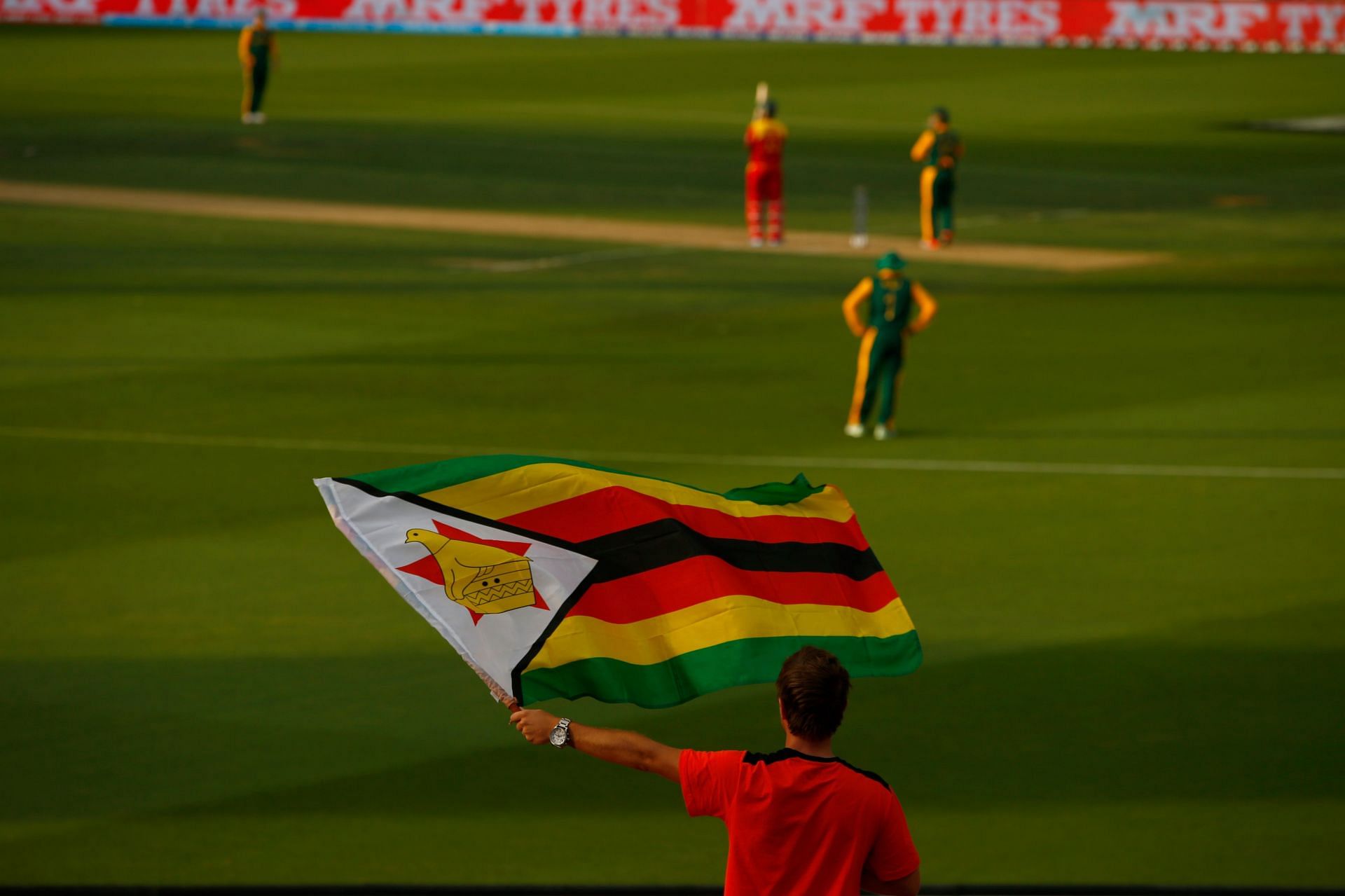 South Africa v Zimbabwe - 2015 ICC Cricket World Cup