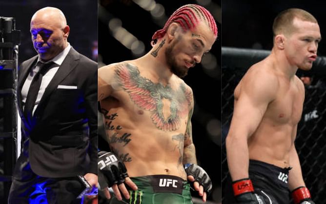 "The question is, how much is the takedown worth?"– Joe Rogan discusses Sean O'Malley's controversial split-decision victory over Petr Yan at UFC 280