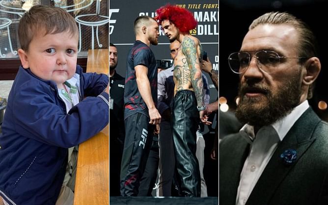 Irishman trolls Petr Yan after latter calls Sean O'Malley a "Conor McGregor wannabe"