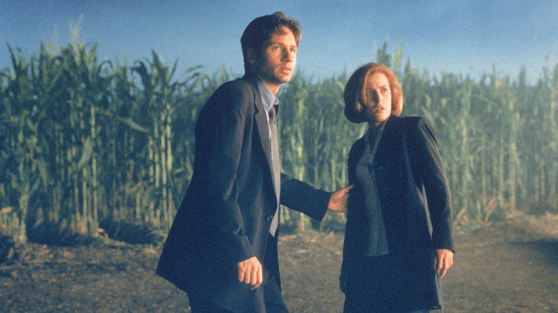A still from The X-Files (Image via IMDB)