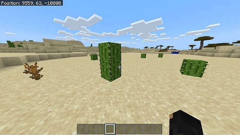 How to Find Green Dye in Minecraft (All Versions) 