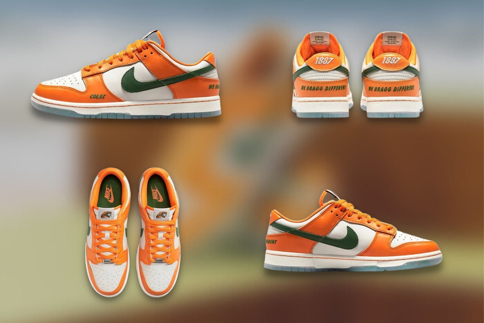 Here&#039;s a detailed look at the impending Nike Dunk Low FAMU colorway (Image via Sportskeeda)