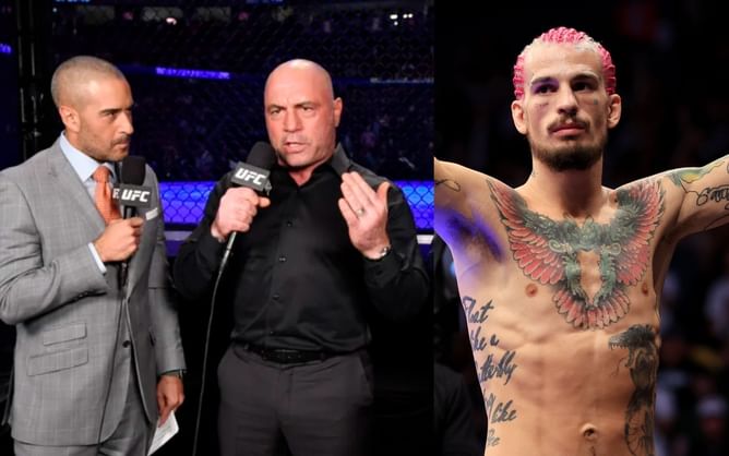 "What? How's that possible?" - When Jon Anik surprised Joe Rogan with a rare Sean O'Malley fact