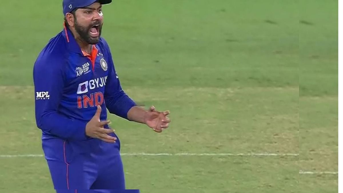 T20 World Cup 2022: [Watch]- Rohit Sharma's animated reaction after ...