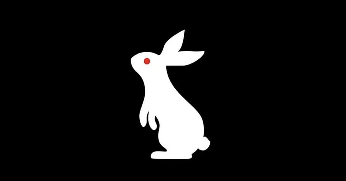 This cute rabbit is symbolic of the masterful job Triple H has been doing