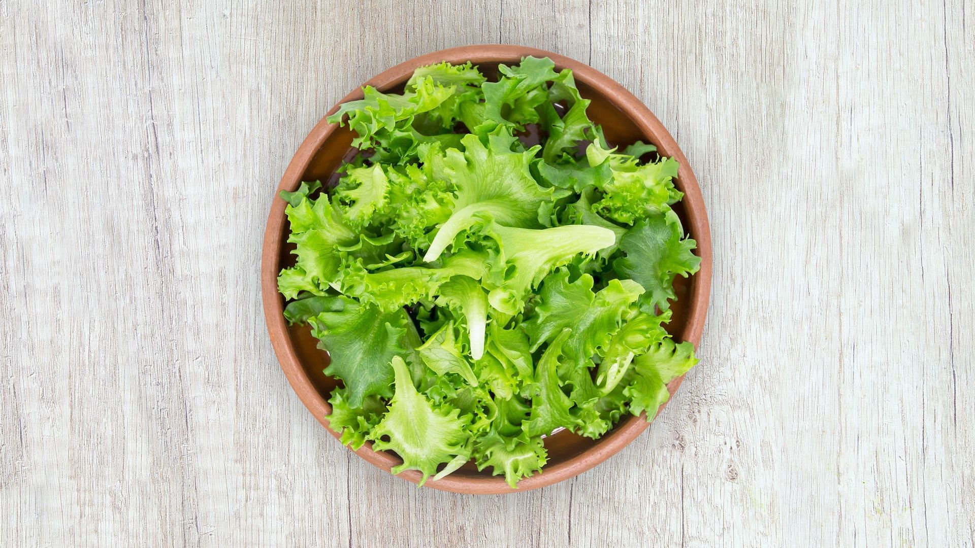 Lettuce are the best low carb greens (Image via Unsplash/Petr Magera)