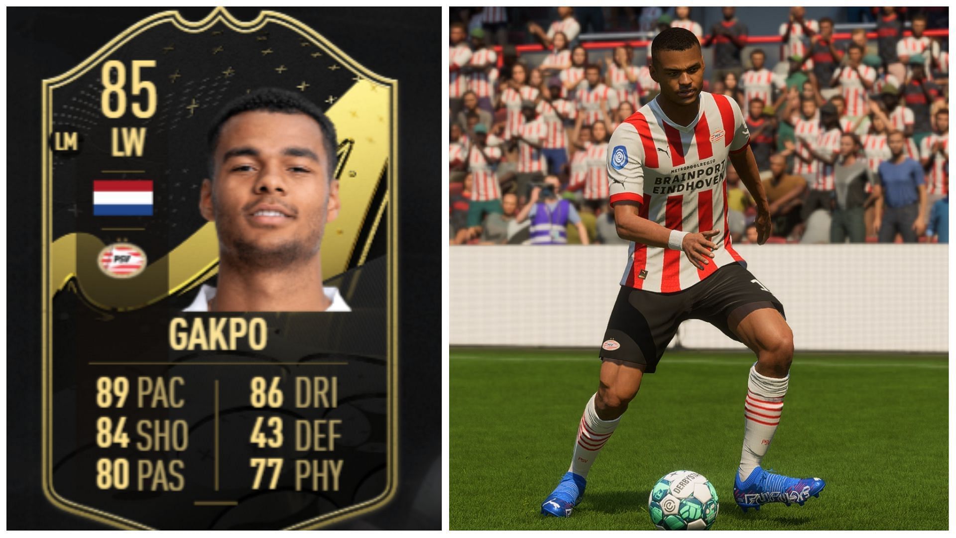 These cheap beasts are amazing in-game (Images via EA Sports)