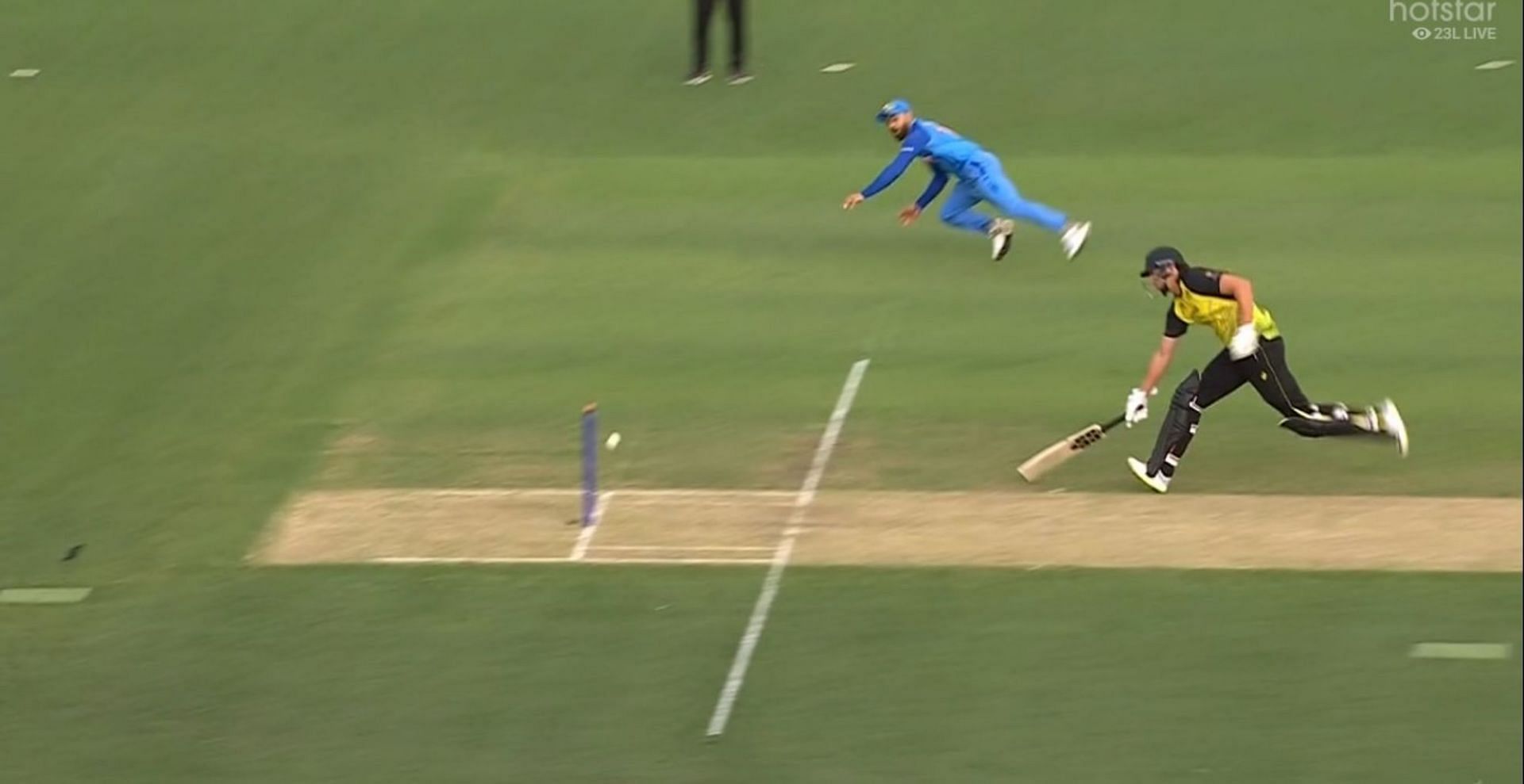 T20 World Cup 2022 Watch Virat Kohli Produces A Stunning Run Out To Catch Tim David Short Of