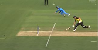 T20 World Cup 2022: [Watch] Virat Kohli produces a stunning run out to catch Tim David short of his crease