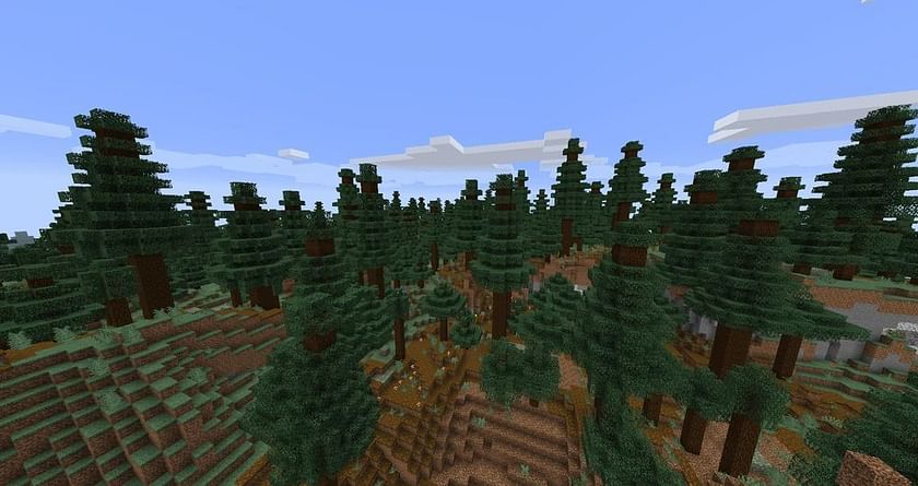 My take on path for the old growth spruce taiga biome : r/Minecraft