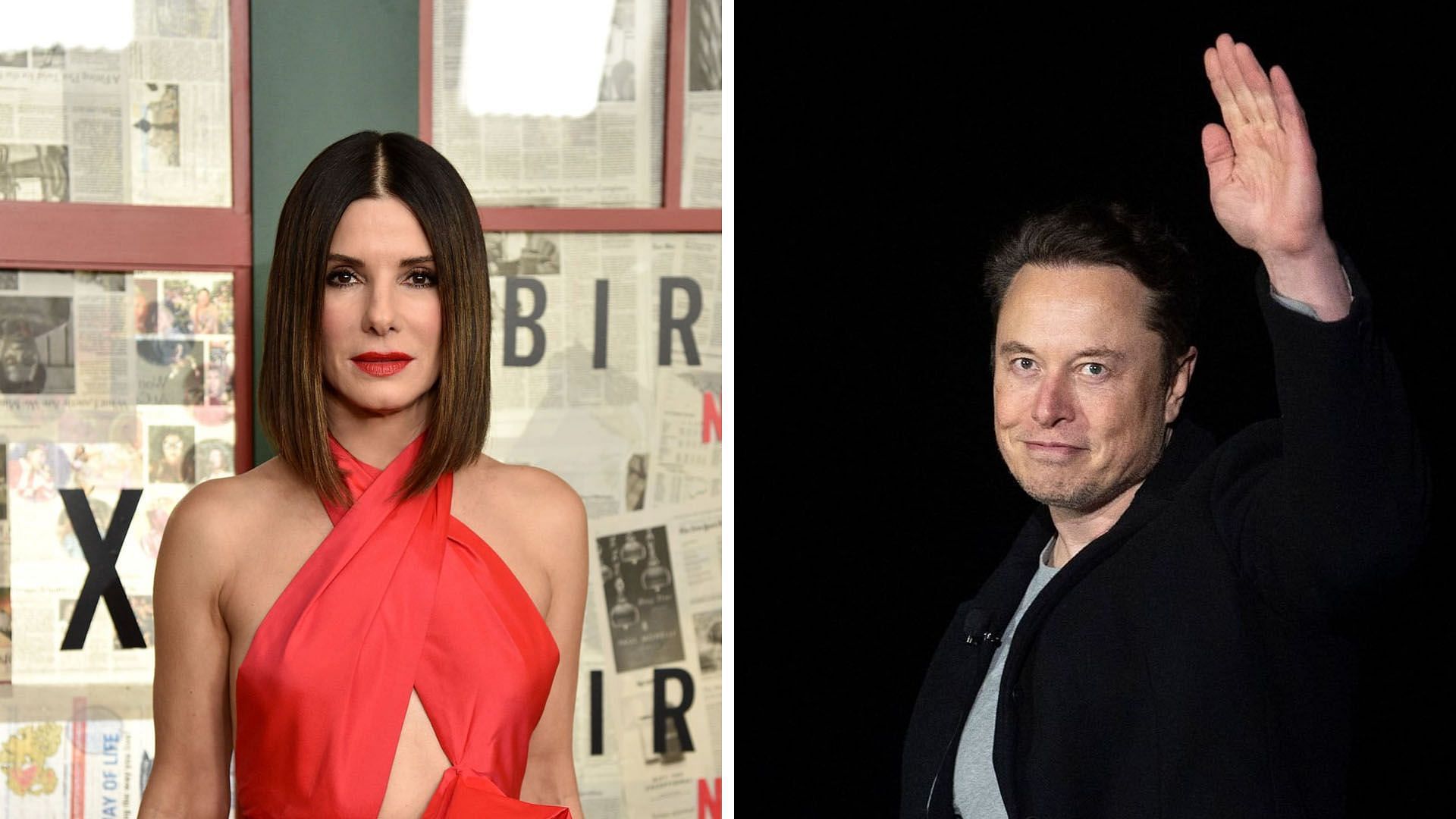 Sandra Bullock fake Twitter account controversy (Image via Getty Images)