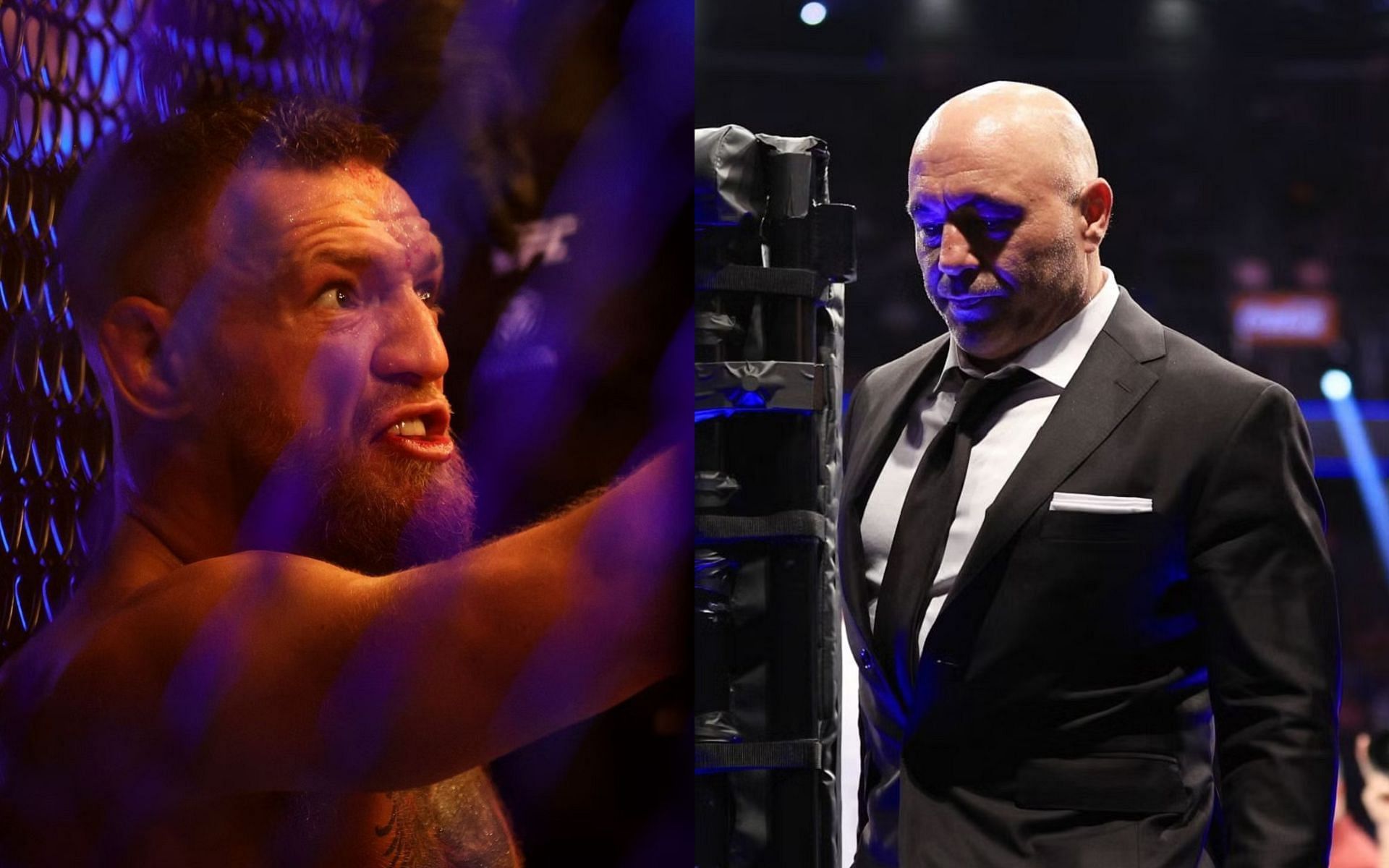 mcgregor-rogan