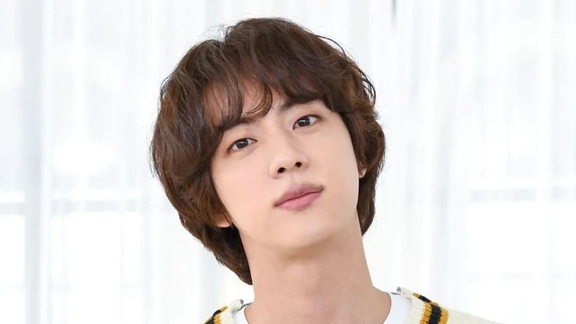 BTS Jin features in various shows on TV and