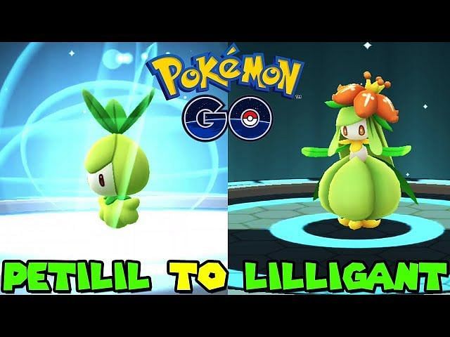 Is Shiny Petilil unavailable in Pokemon GO? (November 2022)