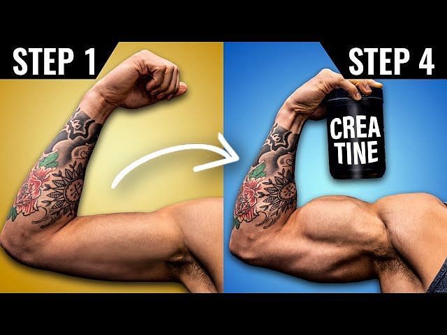 can-creatine-really-help-you-lose-weight