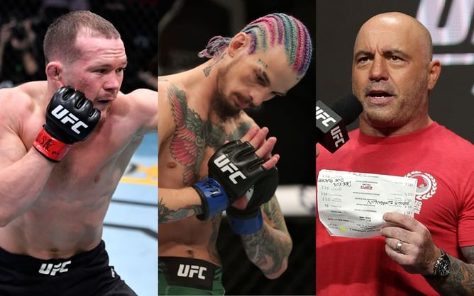Joe Rogan tells Sean O'Malley what he thought of his fight with Petr Yan and the decision that followed