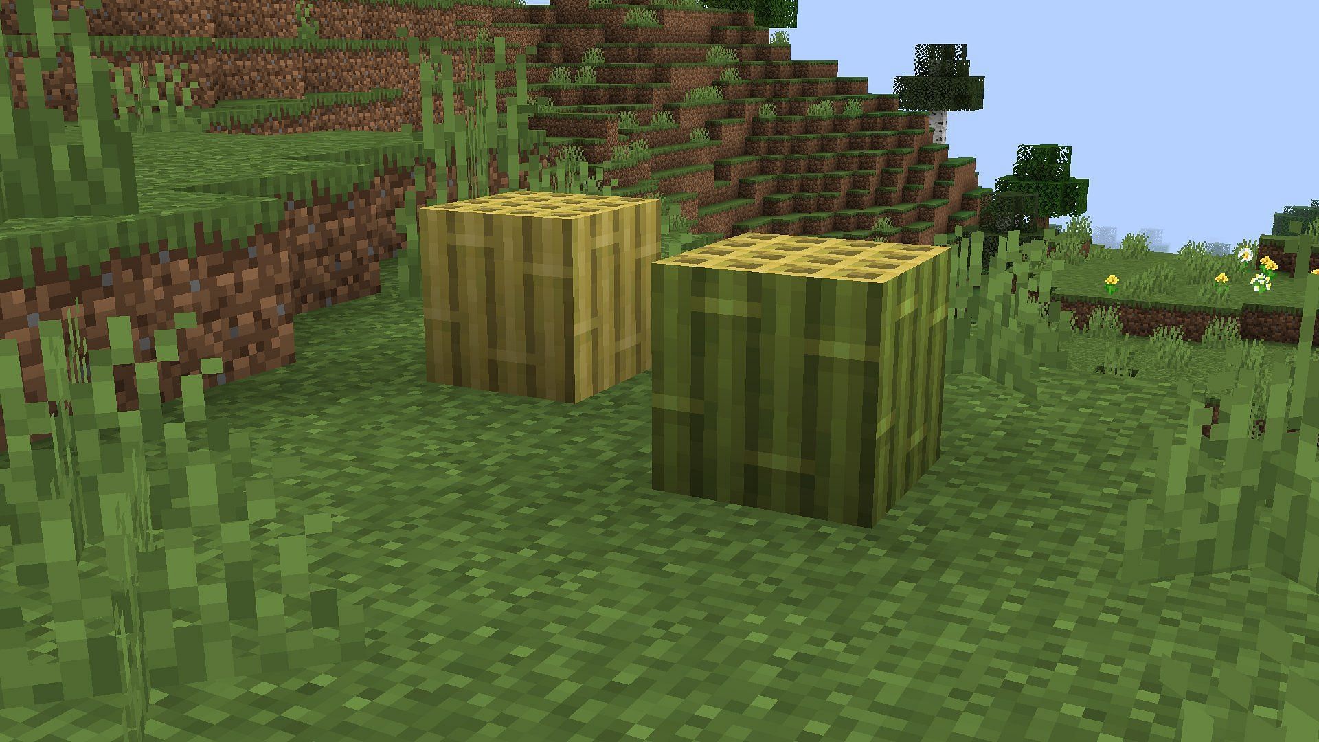 New bamboo blocks provided by Minecraft: Java Edition