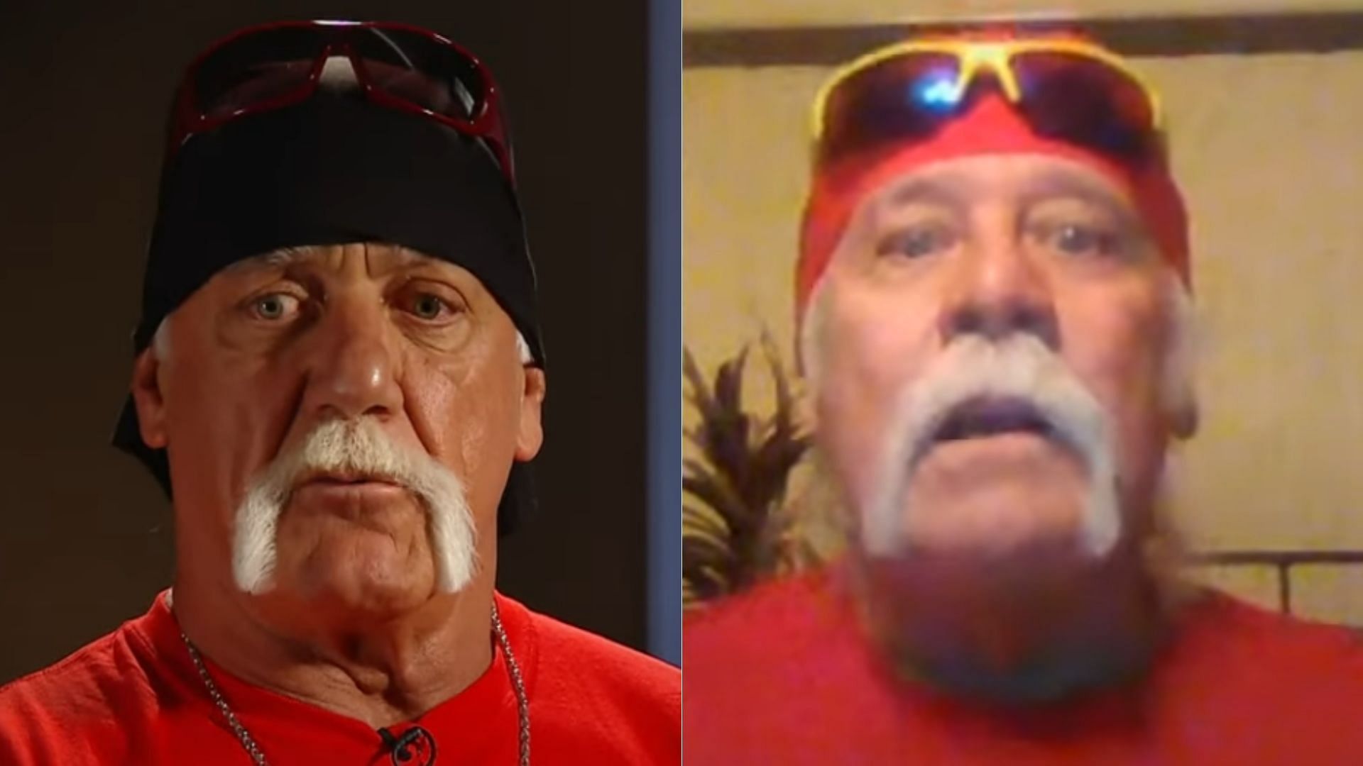 Hulk Hogan (left); Randy Hogan (right)