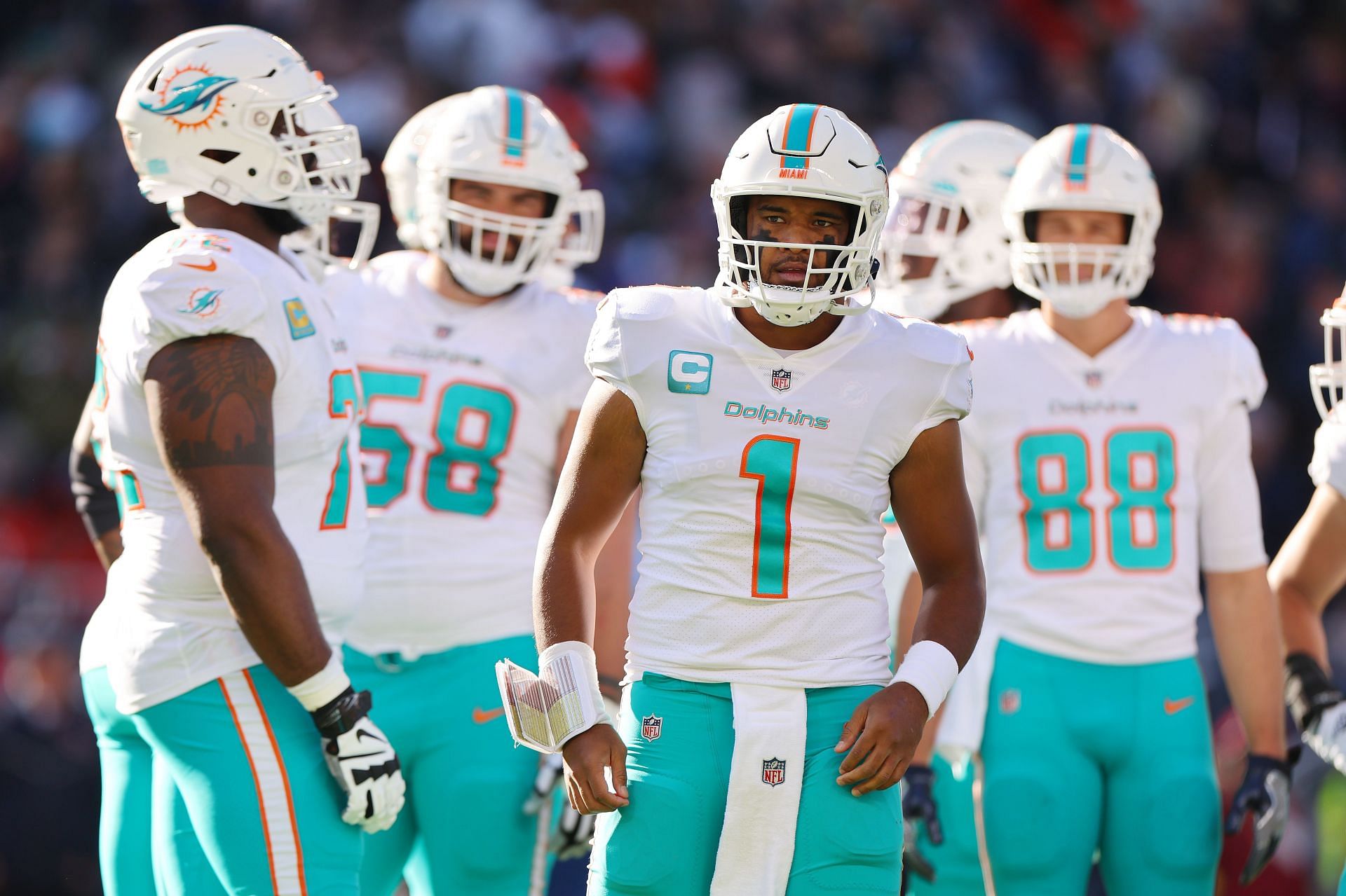 Miami Dolphins v Chicago Bears