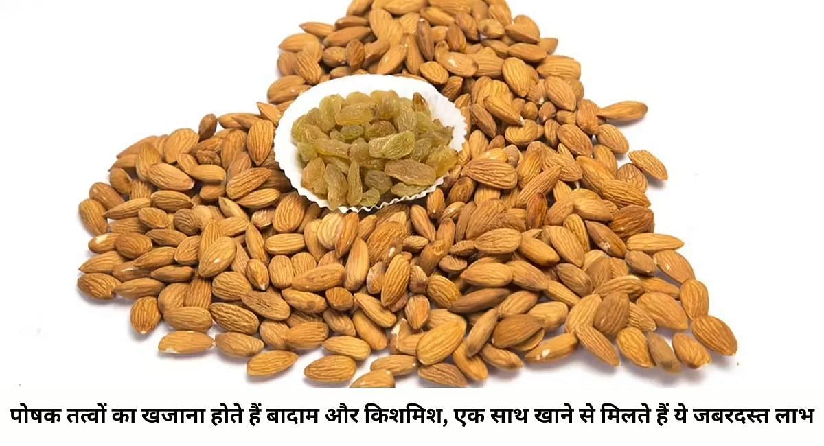 पोषक तत्वों का खजाना होते हैं बादाम और किशमिश, एक साथ खाने से मिलते हैं ये जबरदस्त लाभ(फोटो-Sportskeeda hindi)