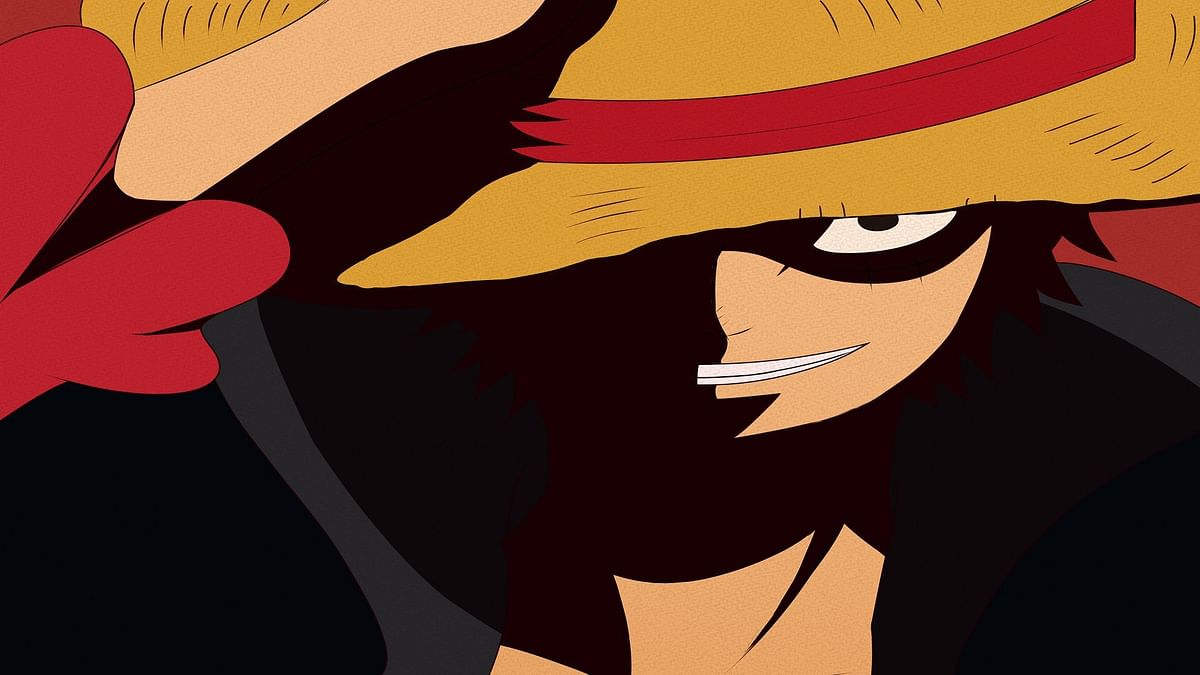 What does the one piece look like explained