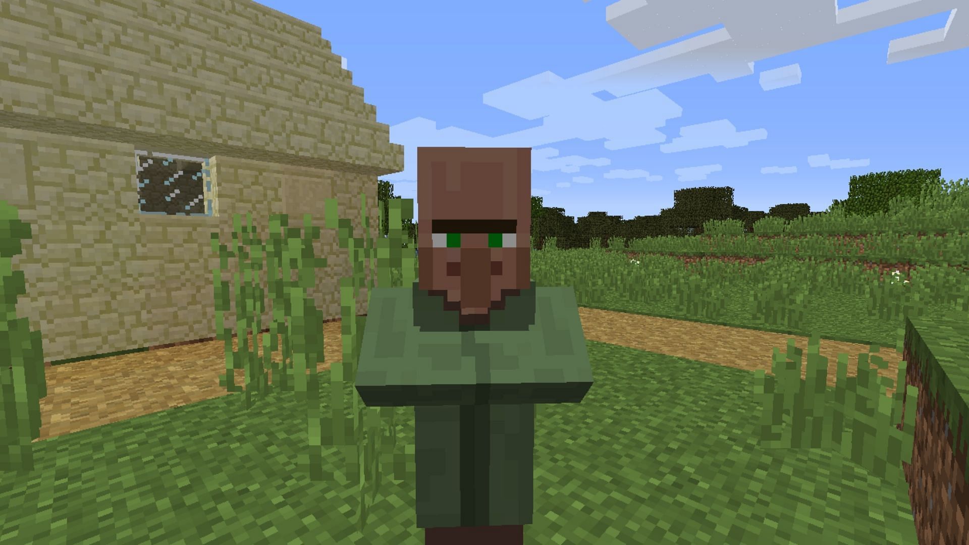Nitwits are unique variants of villagers in Minecraft (Image via Minecraft Forum)