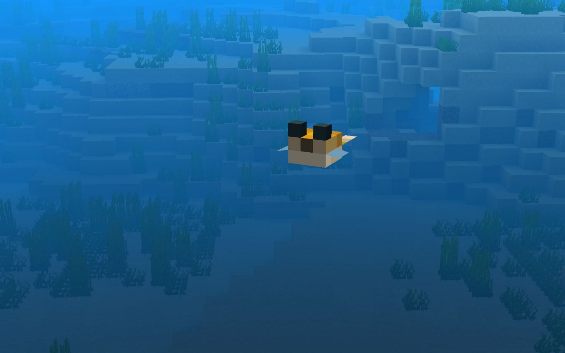 Non-inflated pufferfish are pretty small in size (Image via Mojang)