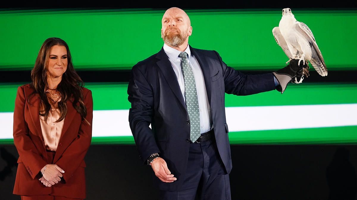 Triple H is the Chief Content Officer in WWE