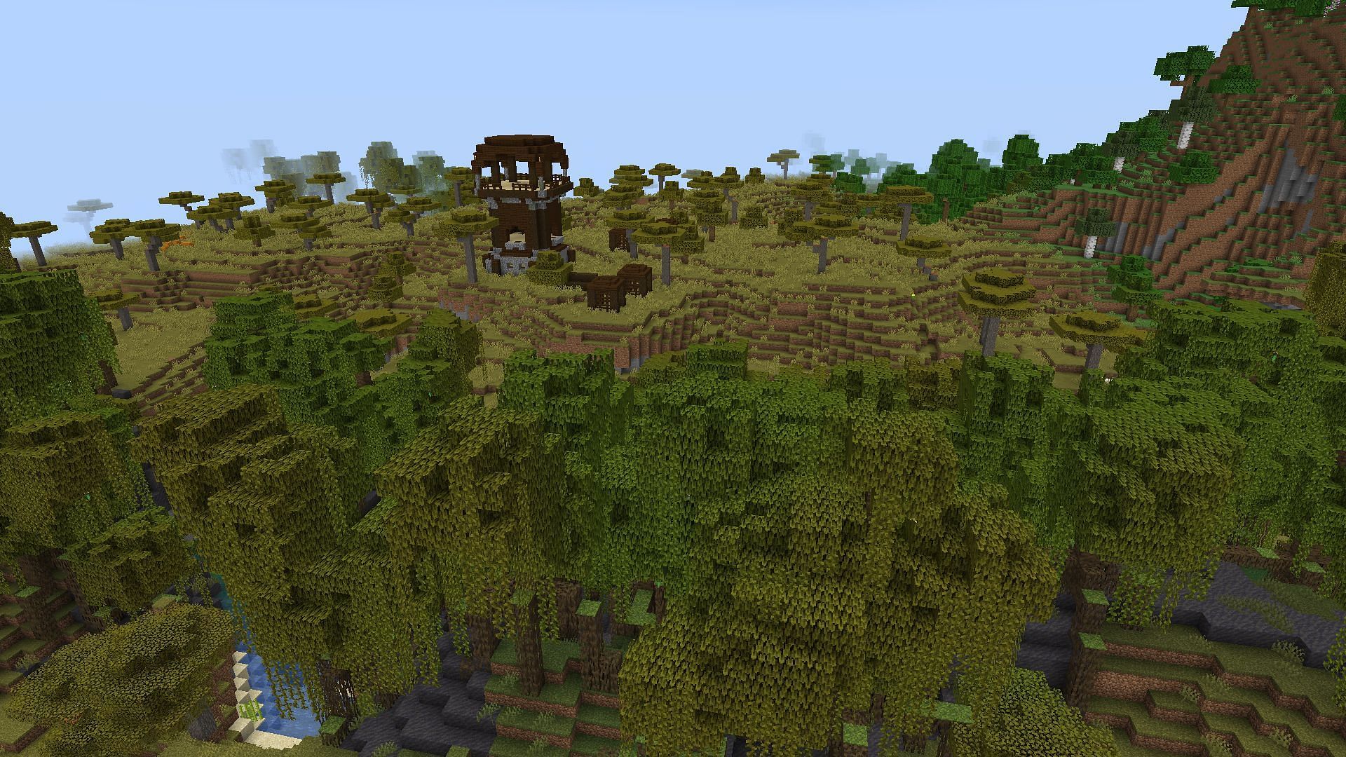 Minecraft seed: Mangrove swamp, jungle and mutated savanna close