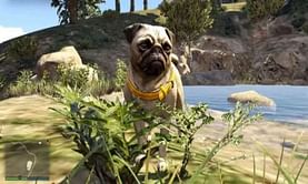 Peyote Plants in GTA 5, explained