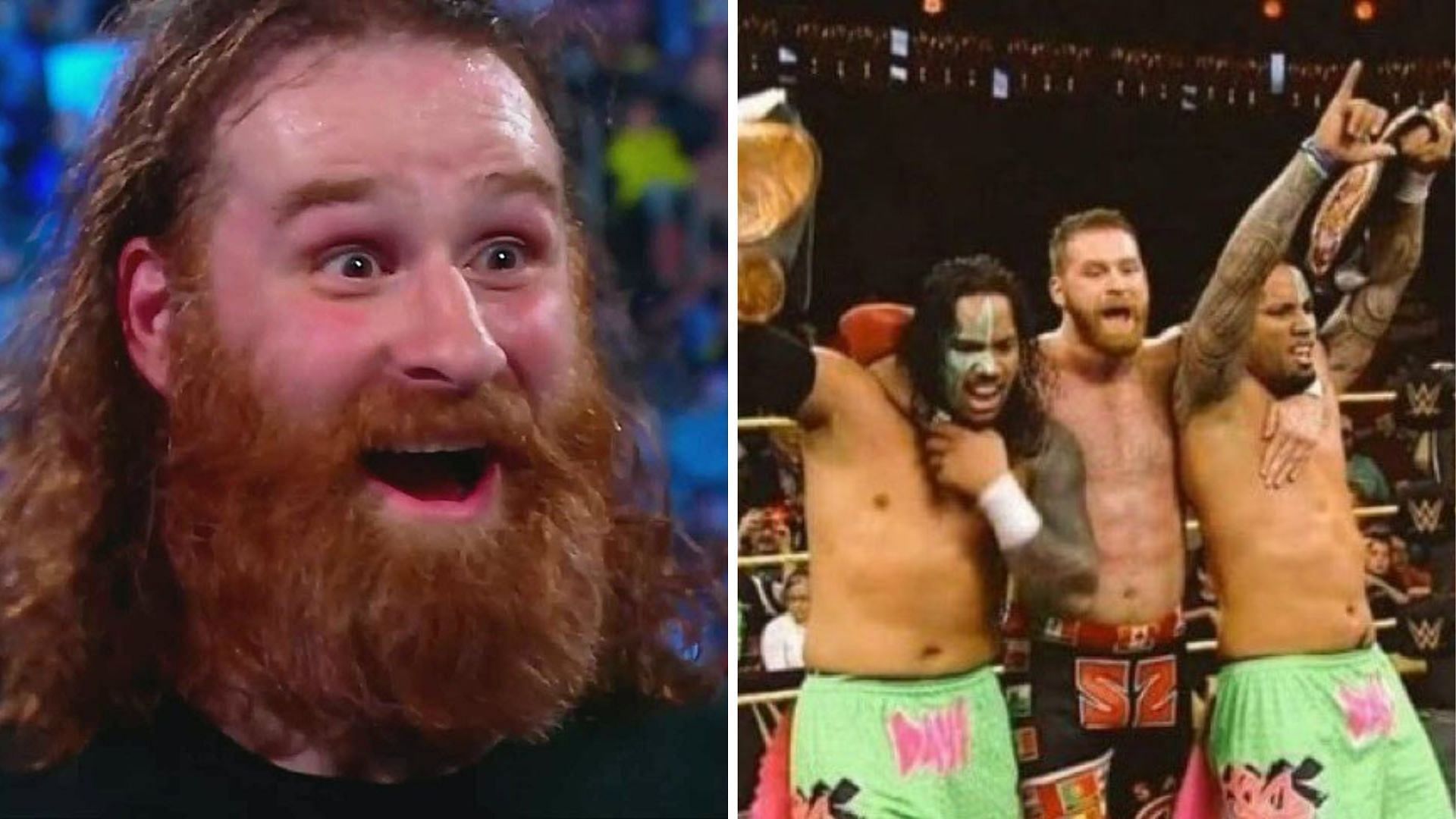 Sami Zayn seemingly always wanted to be a part of The Bloodline in WWE.