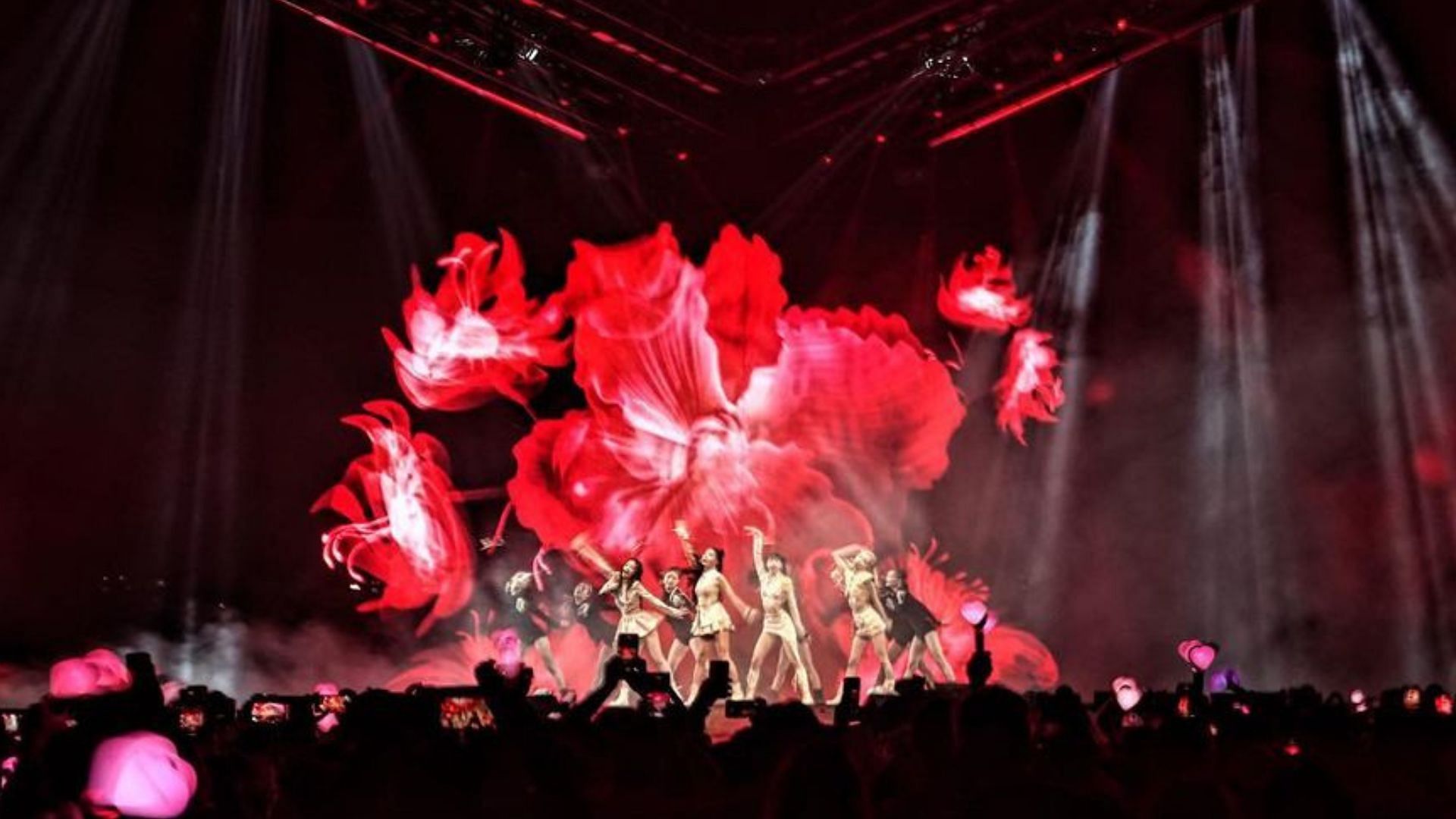 The flower visuals that reflect BLACKPINK&#039;s personality (Image via Instagram/amylouisebowerman)
