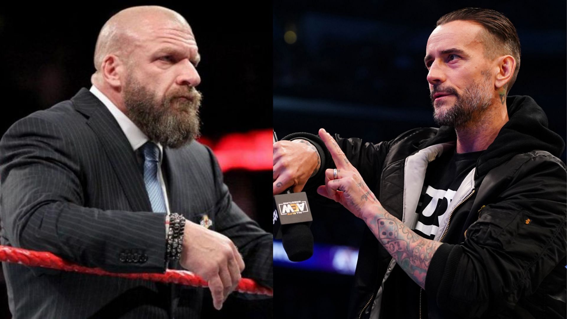 Triple H (left) and CM Punk (right).