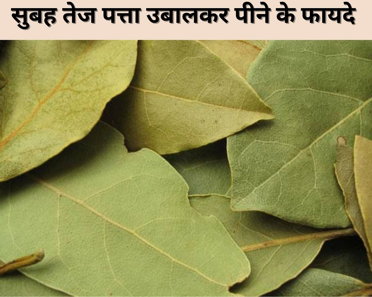 सुबह तेज पत्ता उबालकर पीने के फायदे  (फोटो - sportskeeda hindi)